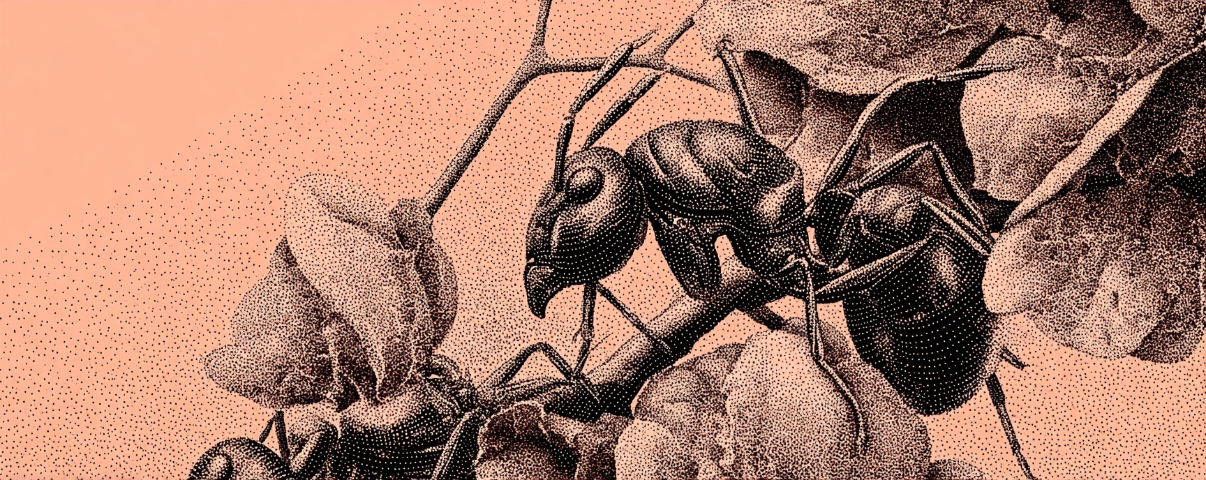 Stop Buying AI Agents When You Need a Workflow (Here's How to Tell)